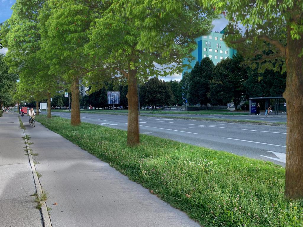 fotomontaža umestitve drevoreda na Celovški cesti