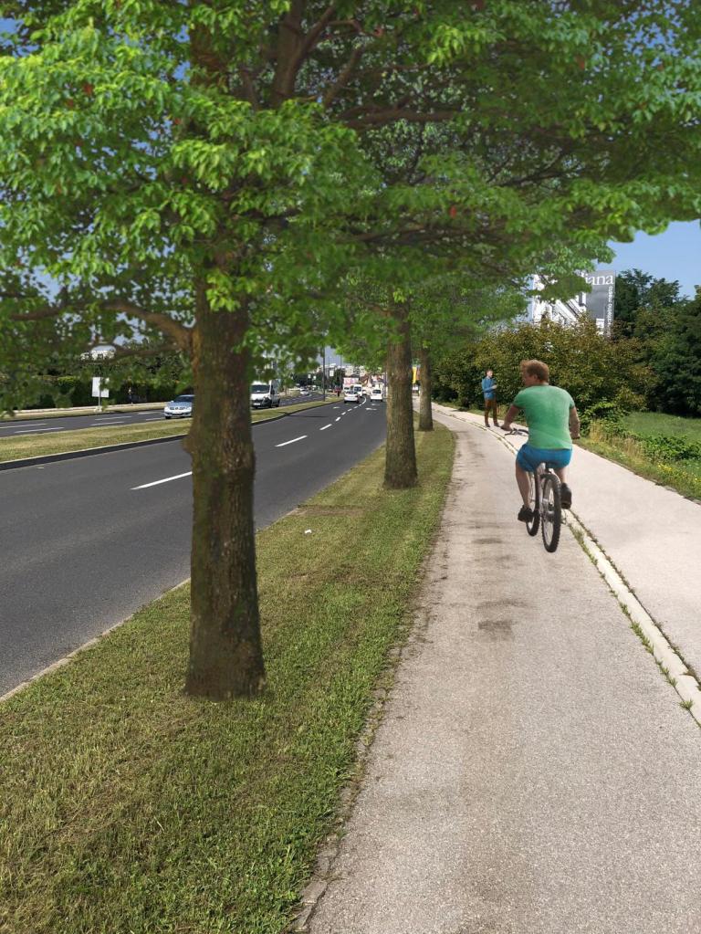 fotomontaža umestitve drevoreda na eno od ljubljanskih vpadnic