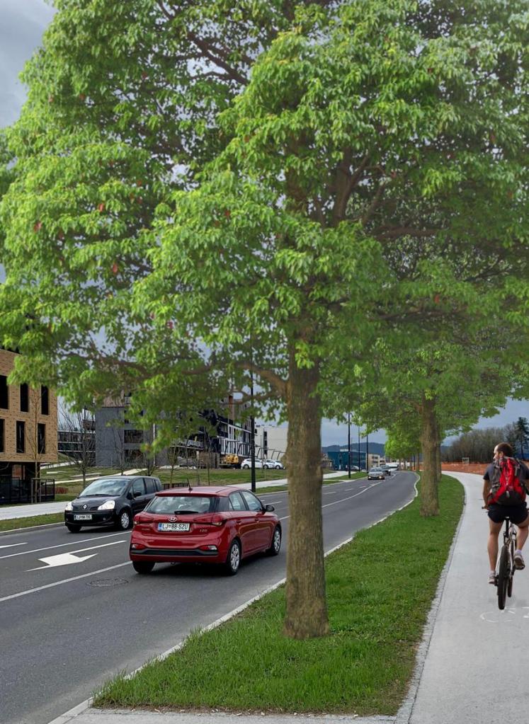 fotomontaža umestitve drevoreda na eno od ljubljanskih vpadnic